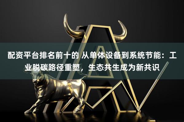 配资平台排名前十的 从单体设备到系统节能：工业脱碳路径重塑，生态共生成为新共识